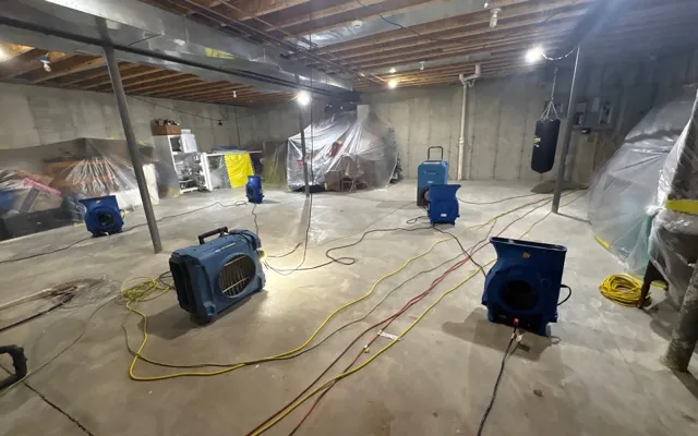 Basement Flood Cleanup in a Seattle home