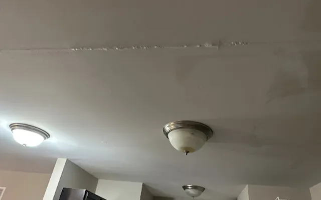 Ceiling Water Damage in a Seattle home