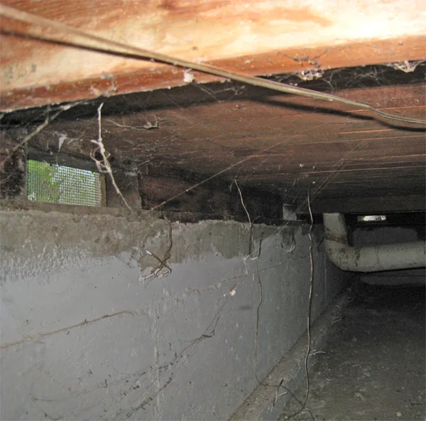 Crawlspace Water Removal in a Seattle home