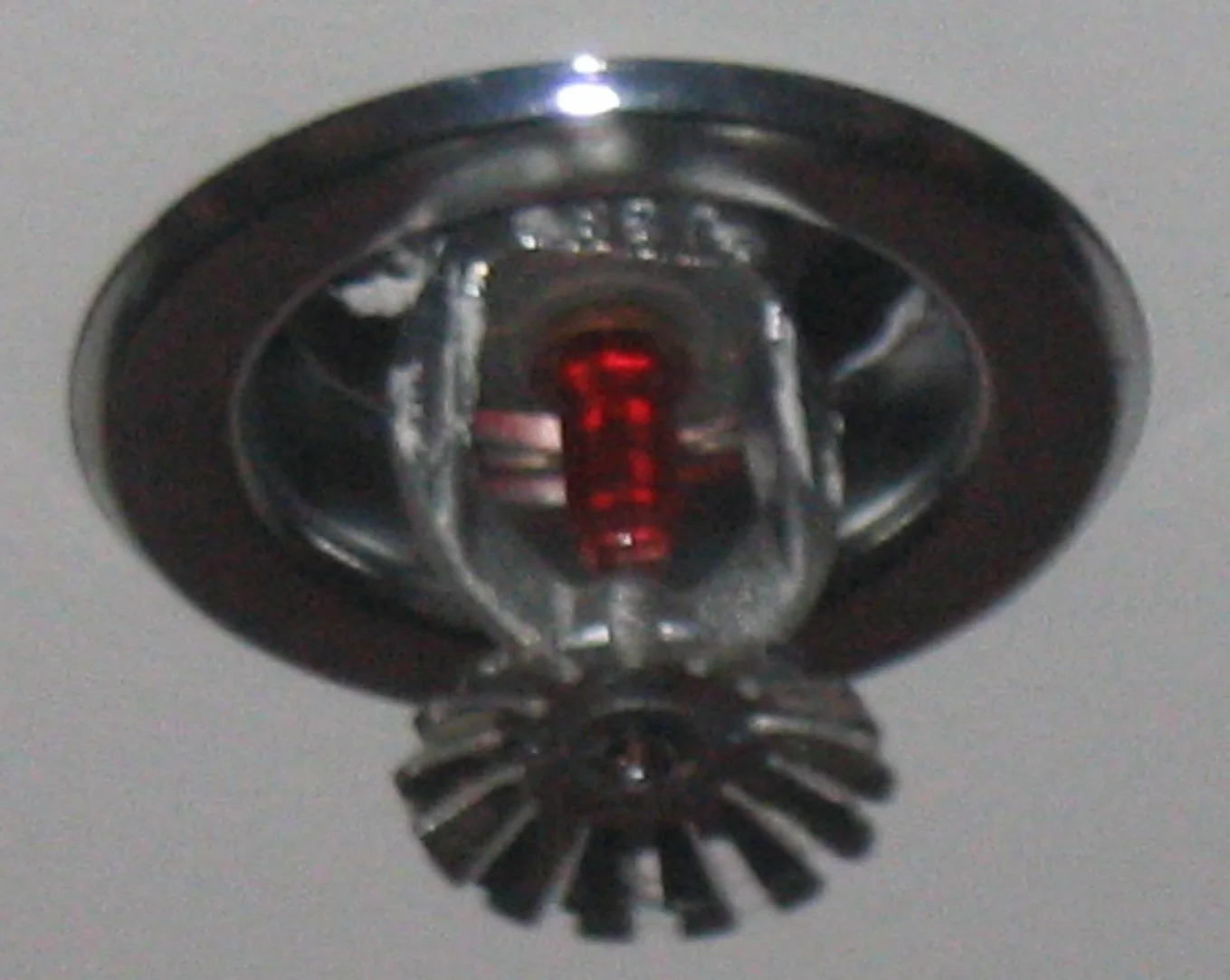 Fire Sprinkler Discharge in a Seattle home