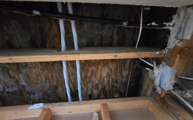 Attic Water Damage in a Seattle home