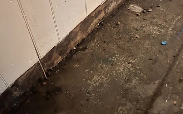 Drain Backup in a Seattle home