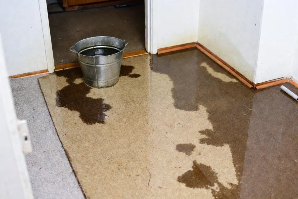 Water Restoration Near Me